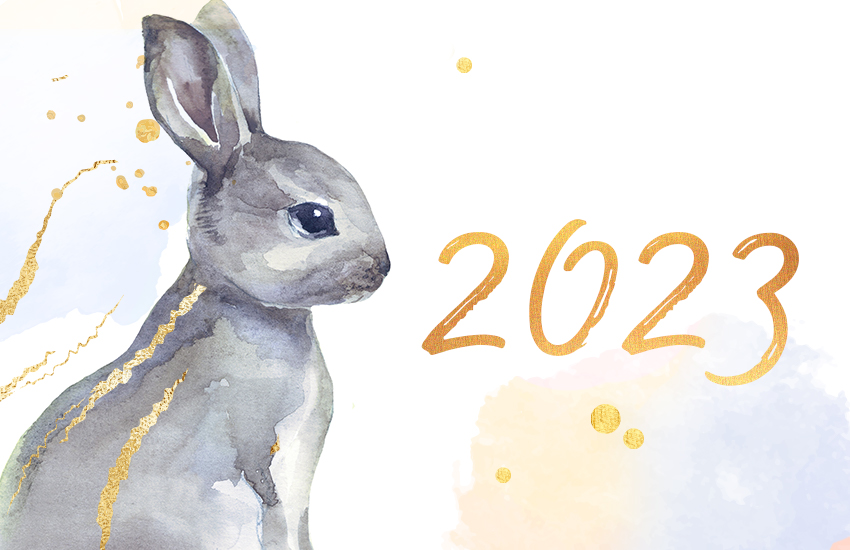 2023 Год Кролика