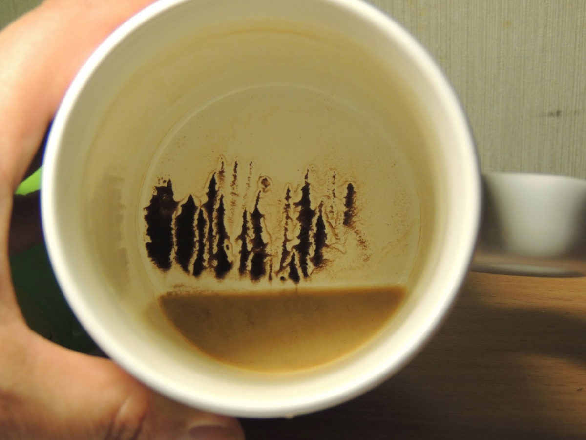 Гадание на кофейной гуще: что означает символ Дерево, варианты трактовки