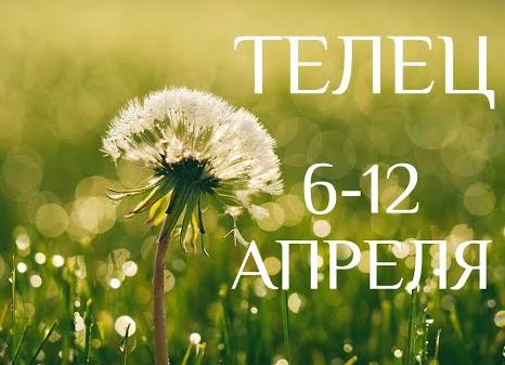 ♉️ Телец, 12 апреля